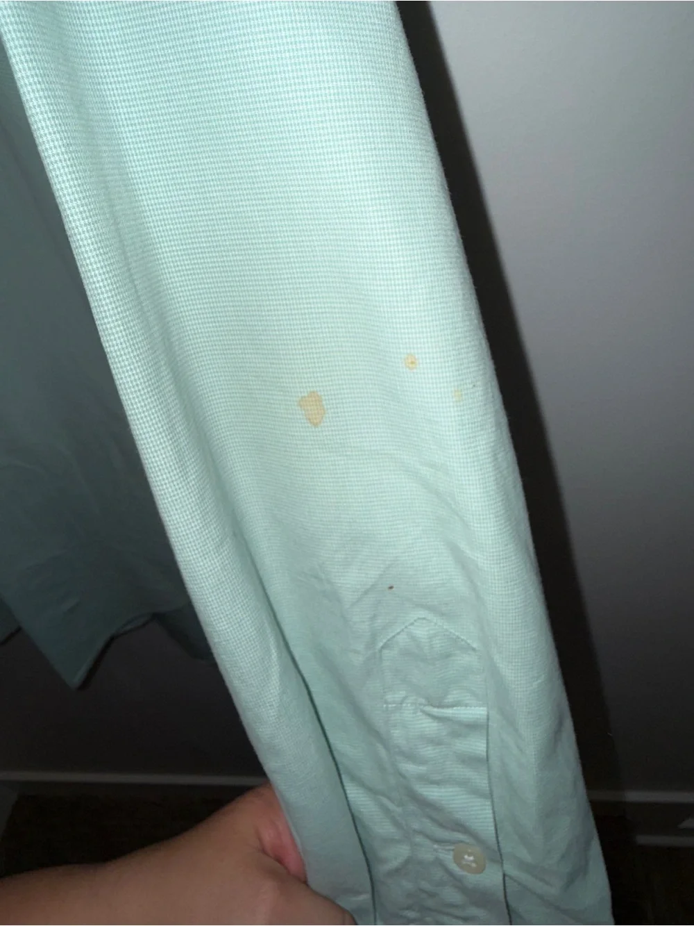 Polo by Ralph Lauren Light Mint Green Button-Down Shirt